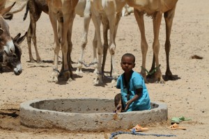 ADERBISSINAT, PUITS PASTORAUX, AMBIANCE, POPULATION, BETAIL. ISSAWAN SAMUMOUNINE-ROTARY NIGER, REGION D'AGADEZ. 2015