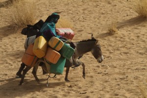 ADERBISSINAT, PUITS PASTORAUX, AMBIANCE, POPULATION, BETAIL. NIGER, REGION D'AGADEZ. 2015 A 8 H 30 ZEINABA PART DE SON CAMPEMENT AVEC SES ANNES POUR LE PUITS DAN GOGO, A 5 KM. ARRIVEE AU PUITS, VENT DE SABLE.