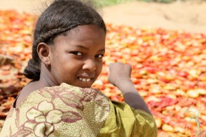 LES PUITS DANS LA VALLEE DE TIDENE, COMMUNAUTE URBAINE DE TCHIROZERINE. L'ECOLE DE TIDENE, SA CANTINE, LE DISPENSAIRE, LES PUITS MARAICHERS ET LES JARDINS, LES PUITS VILLAGEOIS. VILLAGE DE MARDANE NIGER 2015