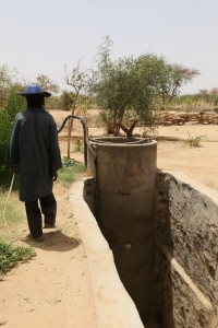 LES PUITS DANS LA VALLEE DE TIDENE, COMMUNAUTE URBAINE DE TCHIROZERINE. LES PUITS MARAICHER ET LE JARDIN MARAICHER DE BOUDARI. NIGER 2015