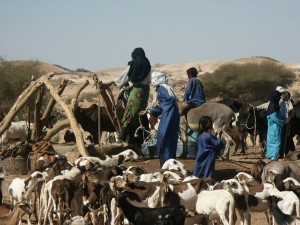 puits pastoral Aïr